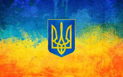 Картина по номерам украинская тематика Отвага Идейка KHO4926 40 х 50 см  купить в Украине