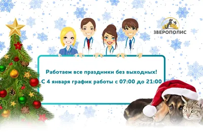 Все праздники в Грузии в 2024 году: праздничные, нерабочие и выходные дни  для всей страны - Madloba