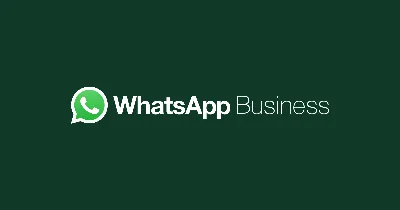 WhatsApp Icon Logo Element Sign in Green Vector Mobile App on White  Background Editorial Image - Illustration of discussion, chat: 134796795