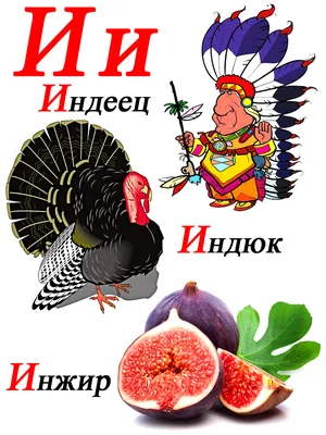 Русский алфавит по порядку
