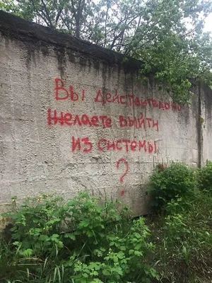 Надписи на стену \"Семья Счастье Любовь\" за 1 200 руб.