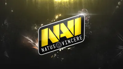 Скачать обои wallpaper, dota 2, navi, natus vincere, team navi, раздел игры  в разрешении 1920x1080