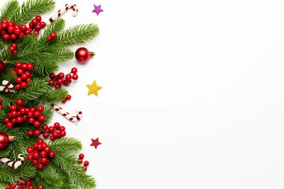Рождество и Новый год на белом фоне, для веток с конусами и украшениями в  снежных хлопьях, место для текста Новый год Стоковое Изображение -  изображение насчитывающей праздник, купель: 161618157