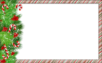 Рождество новый год омелы на белом фоне | Премиум векторы