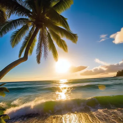 песчаный пляж с пальмами и океаном, пляж и пальмы картинки фон картинки и  Фото для бесплатной загрузки