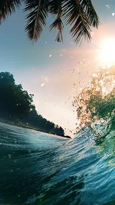 ᐉ Фотообои Consalnet 3D флизелиновые Пальмы пляж и океан 368x254 см  (10332V8)