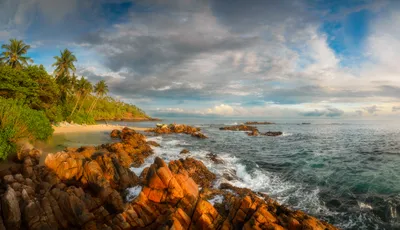 Фотообои море, океан, дельфины, пальмы, пляж 3D. Размер 400х270 - купить по  выгодной цене в интернет-магазине OZON (583542235)