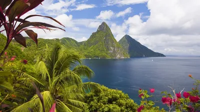 Тропический Seascape с зелеными листьями и видом на океан пальмы Стоковое  Изображение - изображение насчитывающей взморье, курорт: 151121741