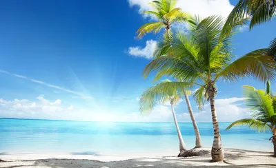 Buy Картина Океан, пальмы, масляная живопись | Skrami.com