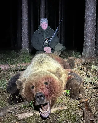 Весенняя охота на медведя - Русский охотничий портал
