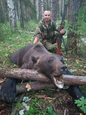 Волнительная охота на медведя - Охотники.ру