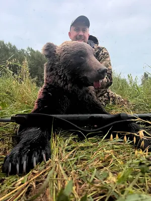 Охота на медведя осенью - Kamchatka Trophy Hunts