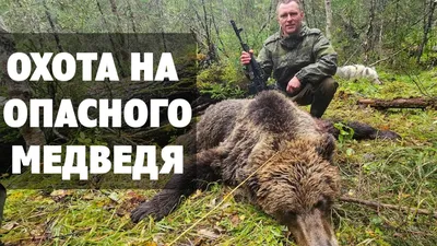 Охота на медведя в охотничьем хозяйстве Белозек, Восточно-Казахстанская  область. - ohotniki.kz