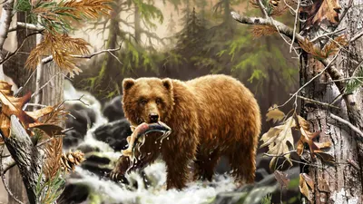 Охота на медведя на овсах или с подхода: сентябрь — Чердынская земля