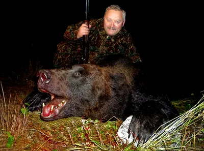 Старинное оружие для охоты на медведя | Sovetчик | Дзен