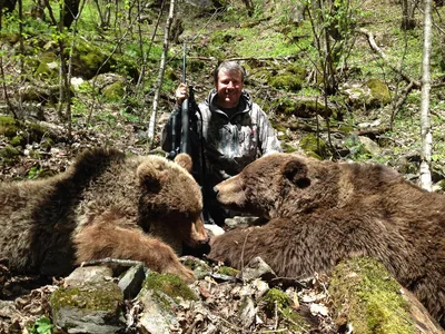 Охота на медведя: куда поехать охотиться весной