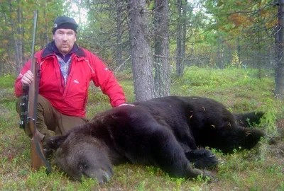 Охота на медведя - изделия из стекла купить в Минске