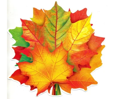 Картинки осенние листья на прозрачном фоне фото