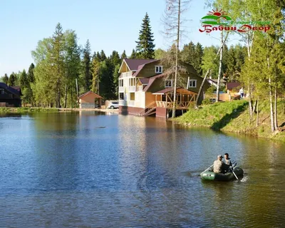 Полезные Советы для Приятного Отдыха на Природе