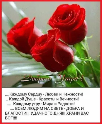 Доброго дня, друзья! пожелания на целый день в картинках - Самые красивые  открытки на каждый день - Милые картинки с хорошими с… | Открытки,  Картинки, Радужные розы