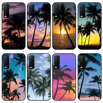 Дивные и чудесные фото-обои на тему пальмы (обои для iphone)!