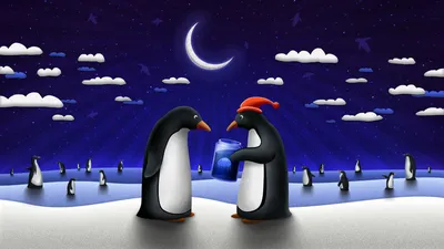 Пара пингвинов: обои, фото, картинки на рабочий стол в высоком разрешении