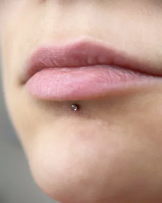 Прокол лабрет для губы в Москве | Студия пирсинга «Piercing.Wiki»