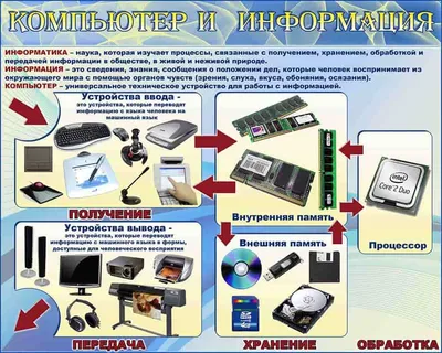 Проверочная работа по информатике на тему \"Информация. Информационные  процессы\" (7 класс)