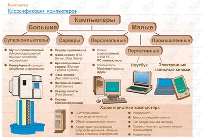 Почему информатика не интересует школьников | РБК Тренды