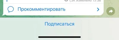 ЧТО ТАКОЕ «ОБЯЗАТЕЛЬНАЯ» ПОДПИСКА НА КАНАЛ в Telegram. — Елизавета Егорова  на TenChat.ru