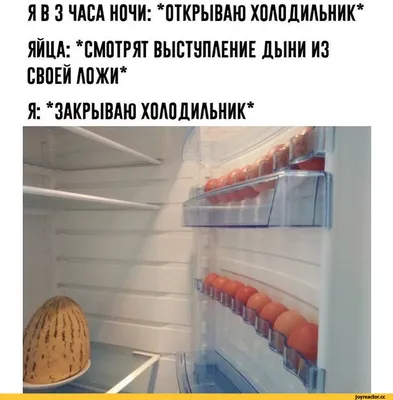 Я В 3 ЧАСА НОЧИ: 'ОТКРЫВАЮ ХОЛОДИЛЬНИК* ЯЙЦА: 'СМОТРЯТ ВЫСТУПЛЕНИЕ ДЫНИ ИЗ  СВОЕЙ ЛОЖИ* Я: 'ЗАКРЫВ / Приколы про еду :: холодильник / смешные картинки  и другие приколы: комиксы, гиф анимация, видео, лучший интеллектуальный  юмор.