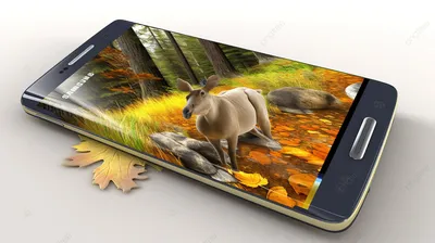 сотовый телефон в лесу с изображением животных в начале осени, Приложение  для 3d изображений на Android фон картинки и Фото для бесплатной загрузки