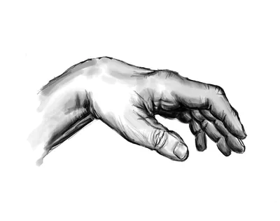 Рисунки на руке для срисовки (35 фото)