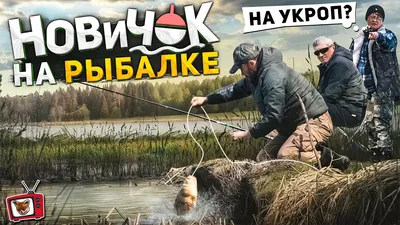 Поймал ОГРОМНОГО КАРПА на куриный ПОМЁТ :))) Притворился НОВИЧКОМ на рыбалке!  Рыбаки ОФИГЕЛИ хахаа! - YouTube