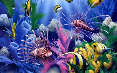 Обои на рабочий стол Рыбки яркой раскраски плавают над коралловым рифом,  обои для рабочего стола, скачать обои, обои бесплатно