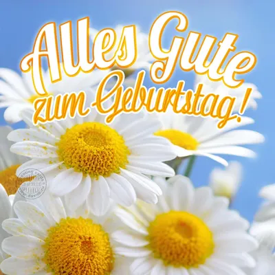 Поздравительная открытка с днем рождения на немецком языке, который читает  Geburtstag Zum Gute Alles с красной литерностью комок с Стоковое Фото -  изображение насчитывающей шоколад, цветок: 208090232