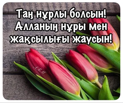 Pin by Aizat Syrgabayeva on қайырлы таң | Tan