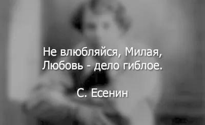 двойные авы / смешные картинки и другие приколы: комиксы, гиф анимация,  видео, лучший интеллектуальный юмор.