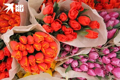 В Екатеринбург не прилетит самолёт с цветами к 8 Марта: Общество: Облгазета