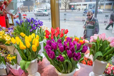 Почем цветы накануне 8 марта: Привоз, Новый, уличная торговля (фото) — УСІ  Online