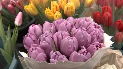Где заказать цветы к 8 Марта: букеты от интернет-магазина Kvitochka