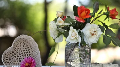 Весенние цветы на рабочий стол - 71 фото