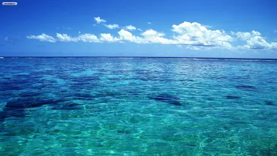 Скачать обои Море, океан, синяя вода, под водой на рабочий стол из раздела  картинок Моря и Океаны