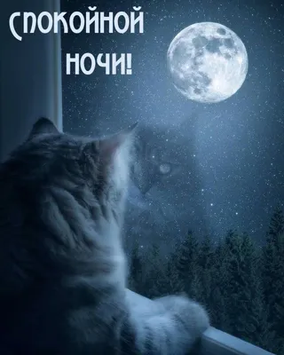 пожелания спокойной ночи на украинском языке｜TikTok Search