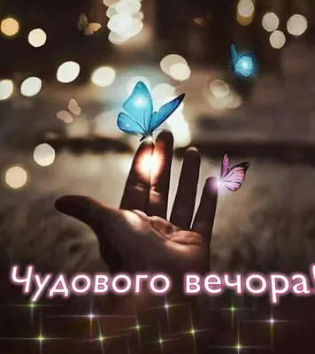 доброй Мирной ночи на украинском языке｜TikTok Search