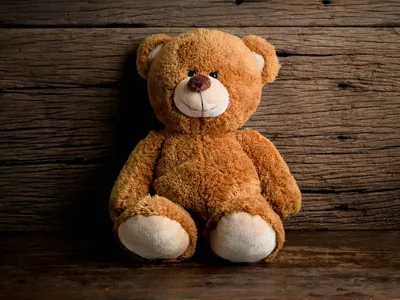 Download wallpaper toy, bear, bear, wood, teddy bear, cute, section  miscellanea in resolution 1024x768