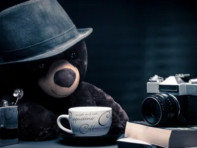 Download wallpaper fantasy, bear, hat, photographer, camera, blue  background, coffee, teddy bear, section situations in resolution 1280x960