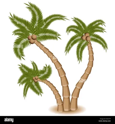 Иллюстрации три пальмы лермонтов (50 фото) » Рисунки для срисовки и не  только