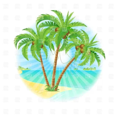3 пальмы в векторе иллюстрация вектора. иллюстрации насчитывающей  тропическо - 29948859