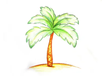 Три пальмы иллюстрация - 35 фото